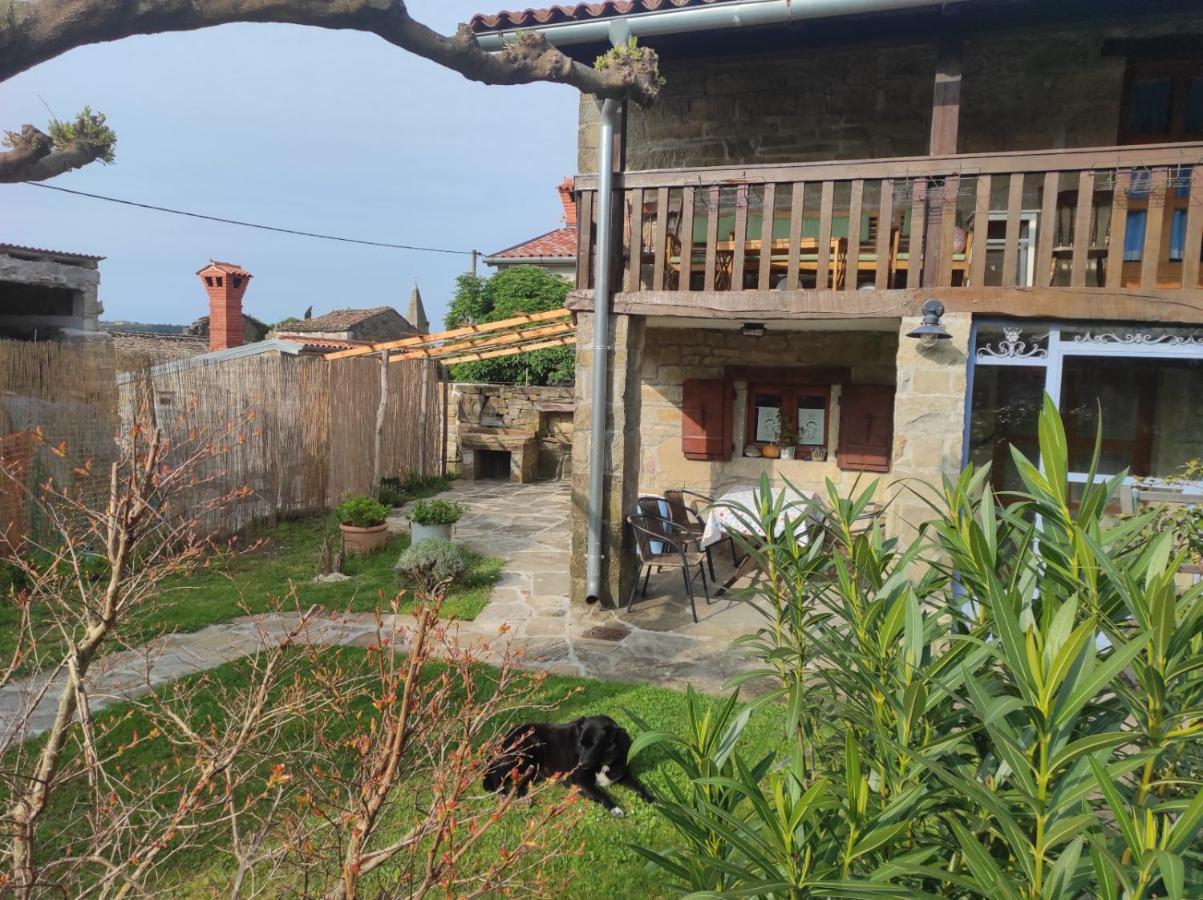 Labor Istrska Hiska Villa Marezige Buitenkant foto